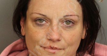 WILLIAMS, JOSIE MEREDITH | 2022-11-19 19:36:00 Jefferson County, Alabama Booking