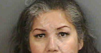 USUGACANEDO,LILIANA M | 2022-11-19 Collier County, Florida Booking