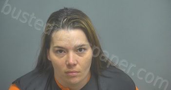 LILLEY, MARY ELIZABETH | 2022-11-19 06:10:00 Amherst County, Virginia Booking