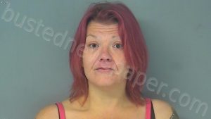 STEELE, MANDY MARIE | 2022-11-19 14:20:00 Virginia Peninsula Regional Jail, Virginia Booking