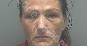 <B>IPPOLITO</B>, <B>JENNIFER</B> <B>LYNN</B> #, Lee County, Florida - 2022-11-19 12:29:00