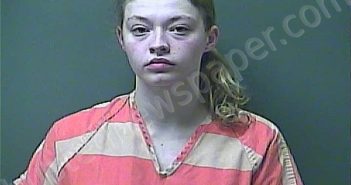 LANGFORD, ALYSSA MARIE | 2022-11-19 19:16:00 Laporte County, Indiana, La Porte County, Indiana Booking