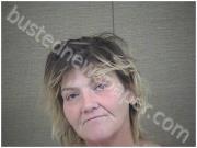 SKINNER, MICHELLE | 2022-11-19 Harnett County, North Carolina Booking