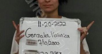 <B>GONZALES</B>, VERONICA ELENA #, <b>Sebastian</b> County, Arkansas, Sebastian County, Arkansas - 2022-11-20 16:03:00
