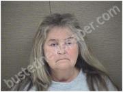 HUDSON, PHYLLIS | 2022-11-20 Harnett County, North Carolina Booking