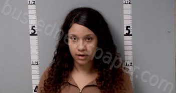 BURTON, LONI-SUE ALIZE | 2022-11-21 11:04:00 Gratiot County, Michigan Booking