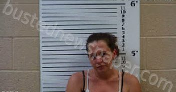 CROWDER, KRISTI MICHELLE | 2022-11-21 23:48:00 Cherokee County, North Carolina Booking