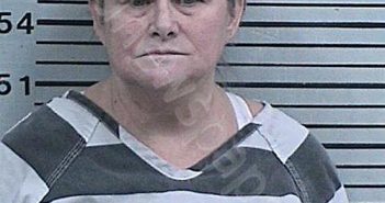 MCMILLAN, CYNTHIA ANN | 2022-11-21 13:34:05 Hood County, Texas Booking