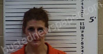 BRYSON, SAVANNAH MARIE | 2022-11-22 08:03:00 Cherokee County, North Carolina Booking