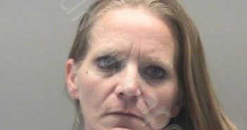 POTTS, DIANA MICHELLE | 2022-11-22 01:00:00 Montgomery County, Ohio Booking