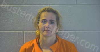 WILSON, LAJUANA J | 2022-11-23 15:21:00 Pulaski County, Kentucky Booking