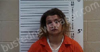 DANIELSON, DALTON SMITH | 2022-11-24 20:52:00 Cherokee County, North Carolina Booking