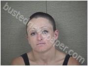 WILLIAMS, STEPHANIE | 2022-11-25 Harnett County, North Carolina Booking
