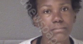 <B>WEBBER</B>, <B>DOMINIQUE</B> <B>PETRICE</B> #, Buncombe County, North Carolina - 2022-11-26