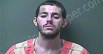 MARTZ, THOMAS E | 2022-11-26 22:53:00 Laporte County, Indiana, La Porte County, Indiana Booking