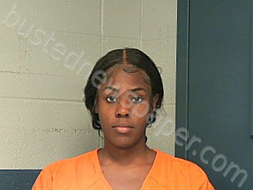 INGRAM FOLK, CARSHAY DENISE #, Woodford County, Kentucky - 2022-11-26 23:35:00