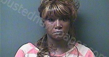 LEWIS, KEISHA | 2022-11-27 00:05:00 Laporte County, Indiana, La Porte County, Indiana Booking