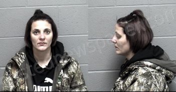 HOUDASHELT, MEGGAN LEIGH | 2022-11-27 21:30:00 Crawford County, Kansas Booking