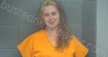 CLEMONS, REBECCA ANN | 2022-11-27 21:44:00 Scott County, Kentucky Booking