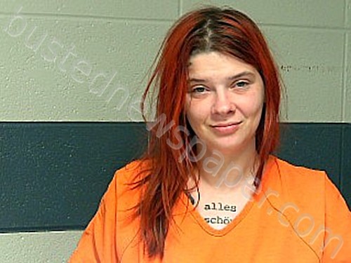 DOLLERIS, JENNIFER RENEE #, Woodford County, Kentucky - 2022-11-27 23:50:00