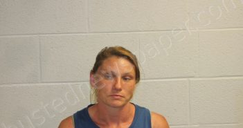 FLEMING, RACHEL NICOLE | 2022-11-28 16:49:00 Jackson County, North Carolina Booking