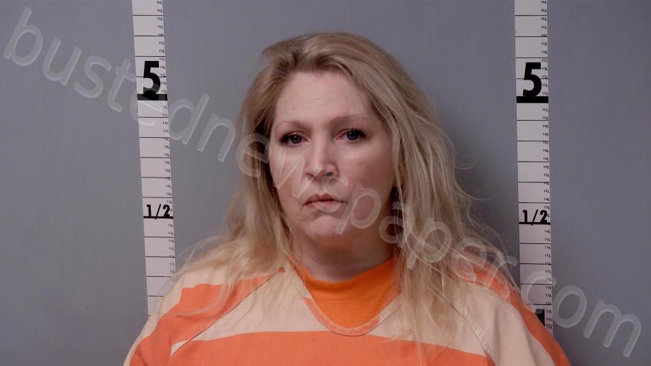 BUCKLAND, CHRISTINA NICOLE #, Gratiot County, Michigan - 2022-11-28 15:16:00