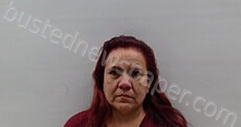 TREVINO CRUZ | 2022-11-29 Cameron County, Texas Booking