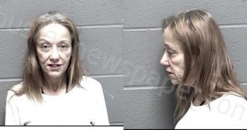 BRASHEAR, JULIE IRENE | 2022-11-29 15:48:00 Crawford County, Kansas Booking
