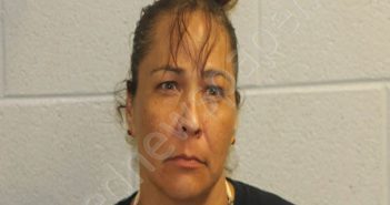 CHILDERS, LUCINDA FAYE | 2022-11-29 11:44:00 Jackson County, North Carolina Booking