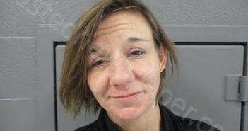 MCDANIEL, SARAH JO | 2022-11-29 04:40:00 Taylor County, West Virginia Booking