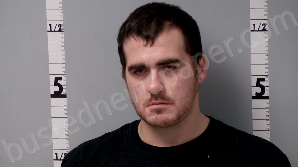 OTTO, NICHOLAS ANTHONY-RAY #, Gratiot County, Michigan - 2022-11-30 23:58:00