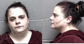 NEER, JESSICA ANN | 2022-12-01 17:43:00 Crawford County, Kansas Booking