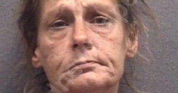 PELL, LISA MARIE | 2022-12-02 Muskegon County, Michigan Booking