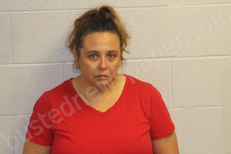 BURGESS, CHRISTY LYNN #, Jackson County, North Carolina - 2022-12-02 22:03:00