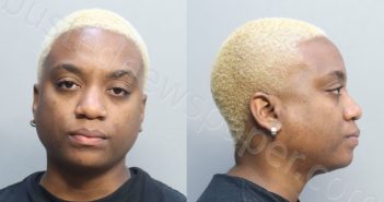 PALMER, JAMILA JAEVIAKADISA | 2022-12-03 02:56:00 Miami-Dade County, Florida Booking