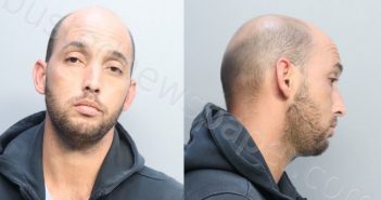 CARILLO, JOSE JESUS | 2022-12-03 03:44:00 Miami-Dade County, Florida Booking