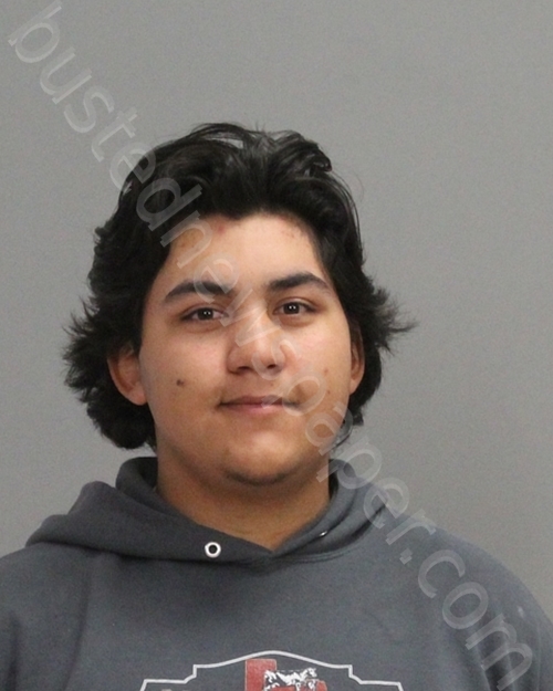 HERNANDEZ, JOSEPH NOAH #, Brazos County, Texas - 2022-12-04