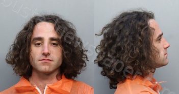 VALDES, ALEXANDER ANTONIO | 2022-12-04 04:53:00 Miami-Dade County, Florida Booking