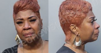 COLVIN, DIANE | 2022-12-04 08:08:00 Miami-Dade County, Florida Booking