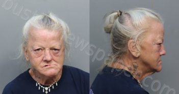 HARRIS, DEBRA JEAN | 2022-12-04 04:29:00 Miami-Dade County, Florida Booking