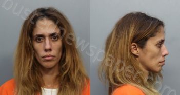 RODRIGUEZ, NINET | 2022-12-04 04:14:00 Miami-Dade County, Florida Booking