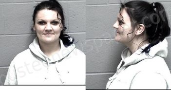 DUBOSE, NATASHA NICOLE | 2022-12-04 03:48:00 Crawford County, Kansas Booking