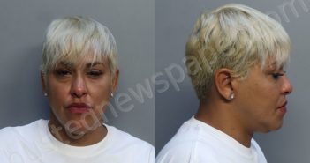 LOPEZ, ANA M | 2022-12-04 12:25:00 Miami-Dade County, Florida Booking