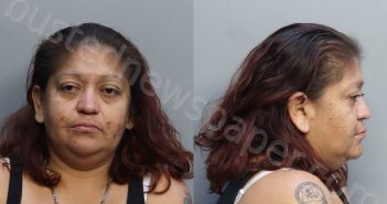 RIVAS, IZABRA | 2022-12-04 09:35:00 Miami-Dade County, Florida Booking