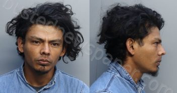 CHIRINOS-TORRES, MANUEL ARMAND | 2022-12-04 06:17:00 Miami-Dade County, Florida Booking