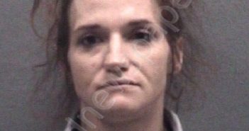 CARNES, NASTASSIA LYNN | 2022-12-05 Muskegon County, Michigan Booking