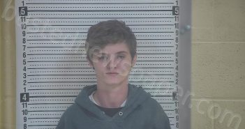 HOLLAND, ASHLEY | 2022-12-05 15:23:00 Taylor County, Kentucky Booking