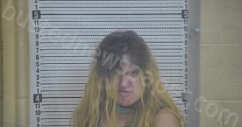 BAGBY, JOYCE ANN | 2022-12-07 00:34:00 Taylor County, Kentucky Booking