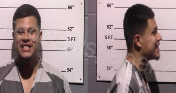 <B>ROMAN</B>, <B>JORGE</B> <B>ALEJANDRO</B> #, Gillespie County, Texas - 2022-12-07