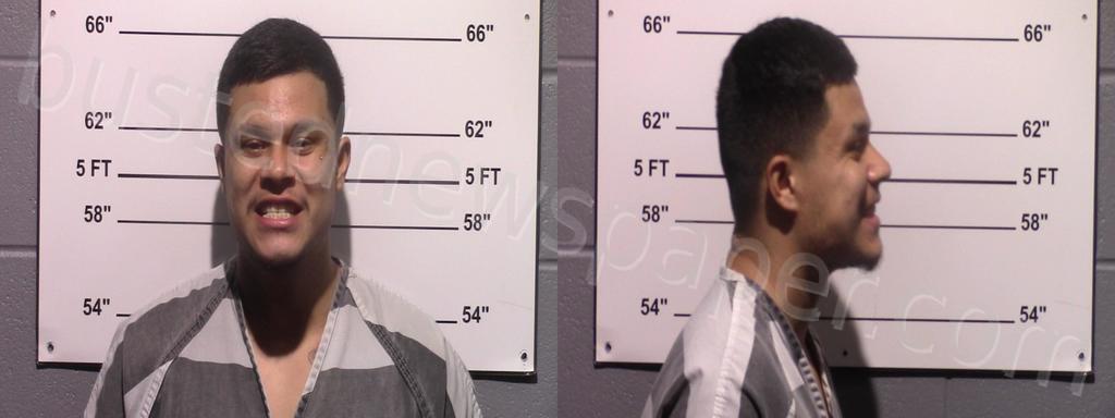 ROMAN, JORGE ALEJANDRO #, Gillespie County, Texas - 2022-12-07